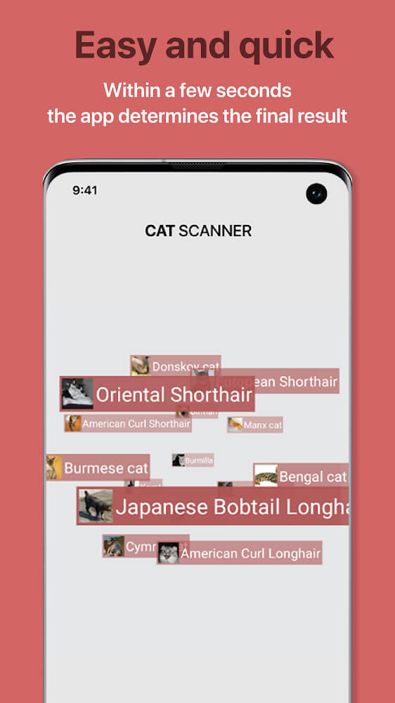 Cat Scanner screenshot 4
