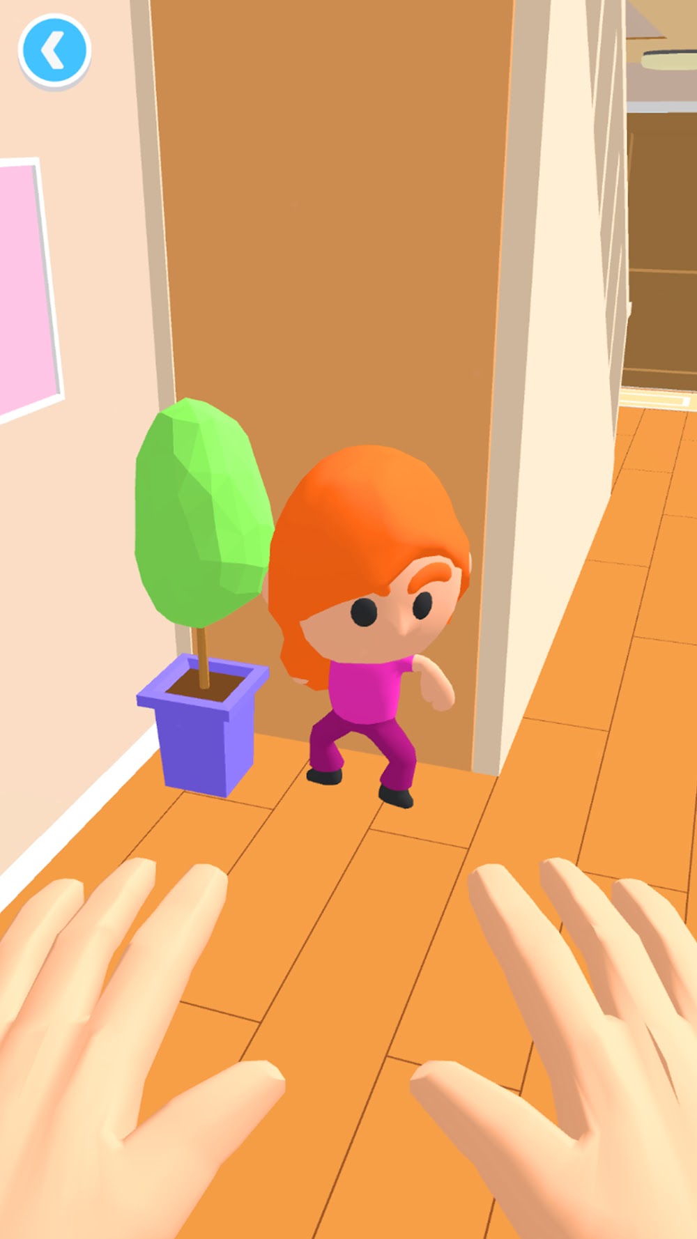 Hide N' Seek 3D screenshot 7