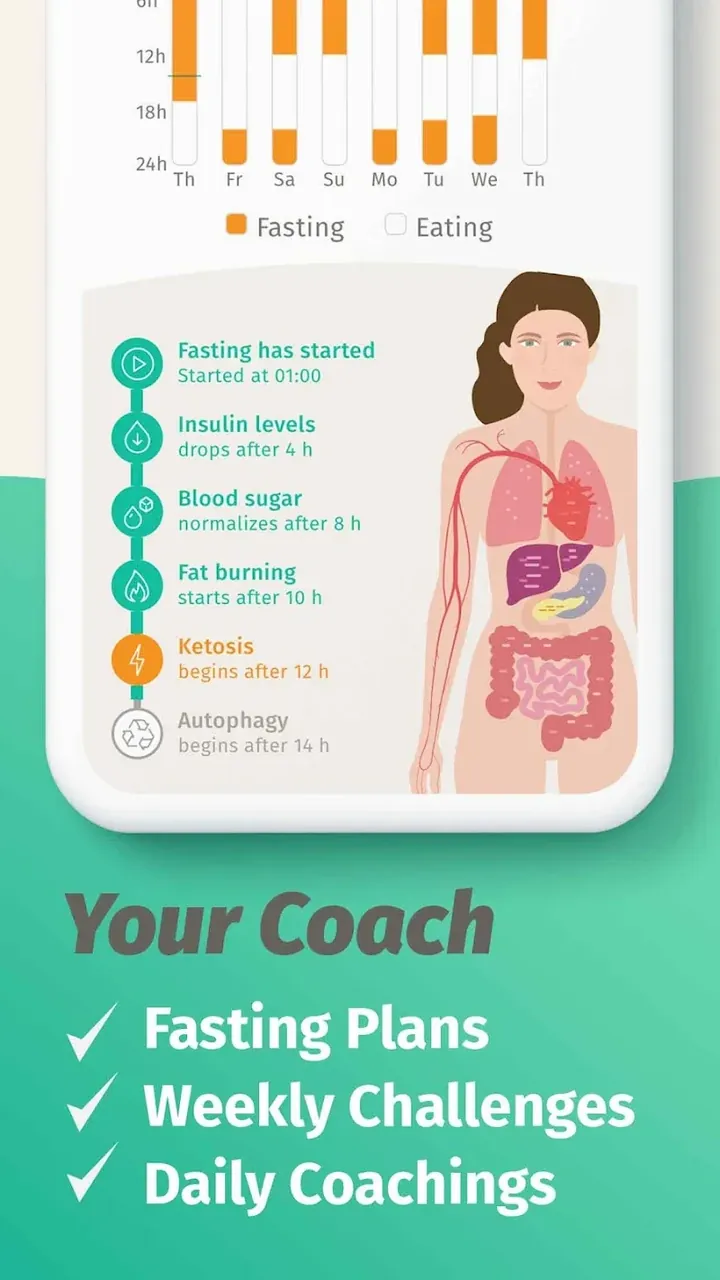 BodyFast screenshot 5