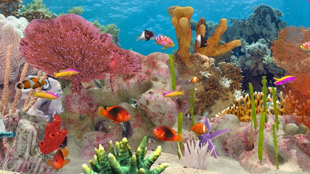 Fish Farm 3 - Aquarium screenshot 2
