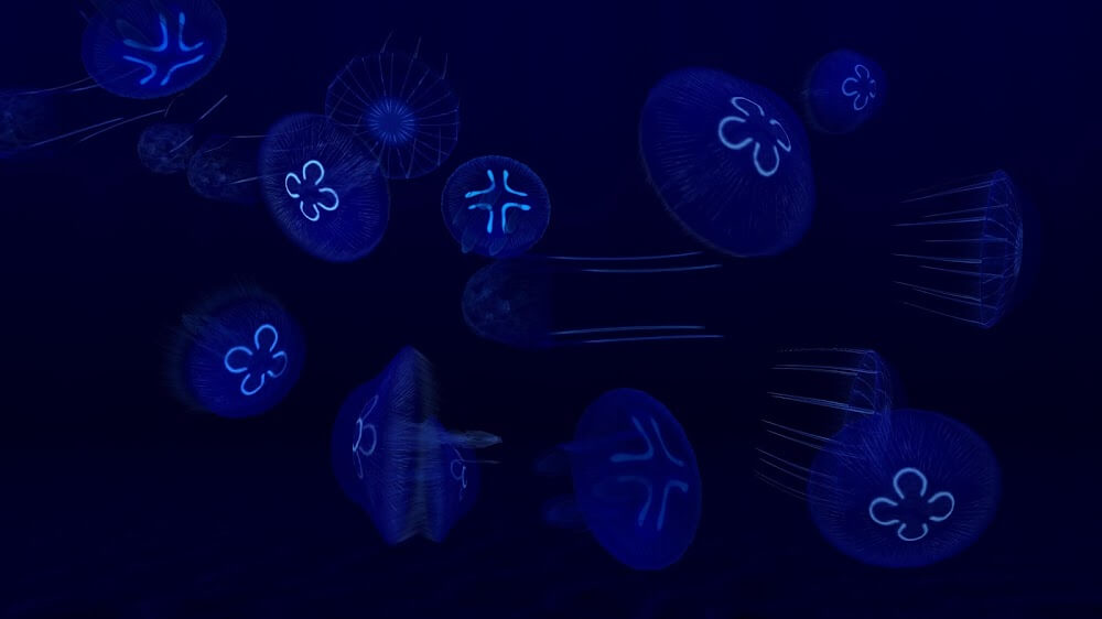 Fish Farm 3 - Aquarium screenshot 5