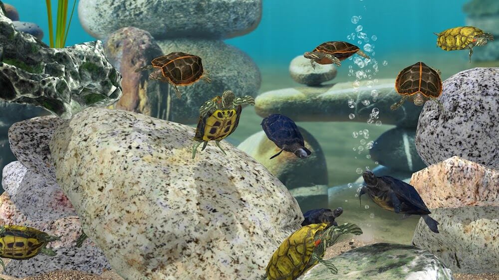 Fish Farm 3 - Aquarium screenshot 3
