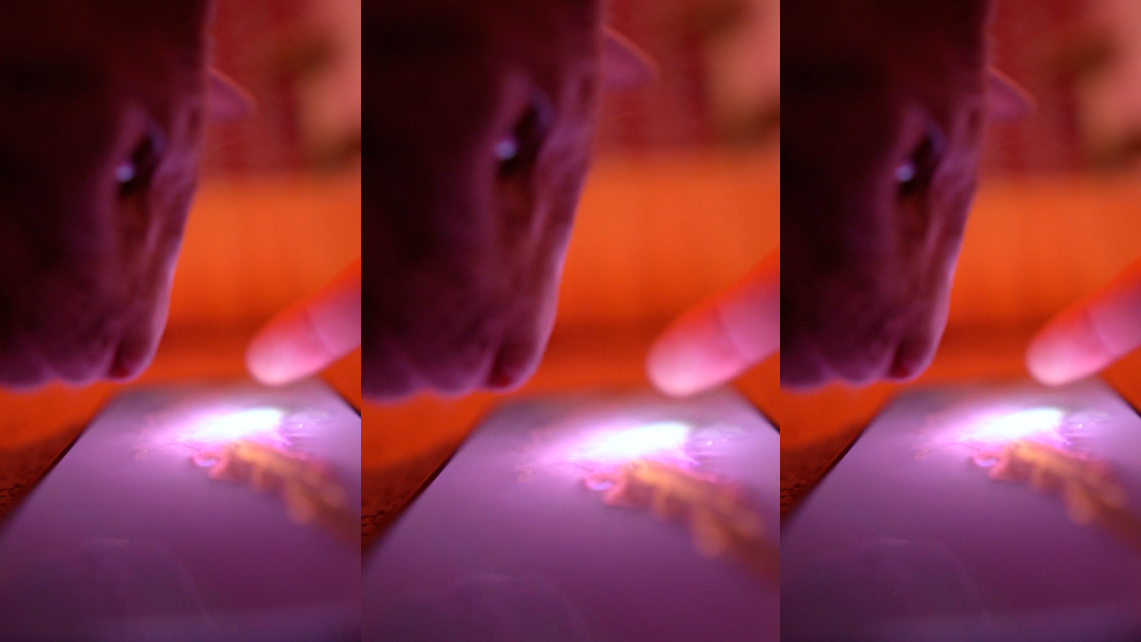 Fluid Simulation screenshot 1