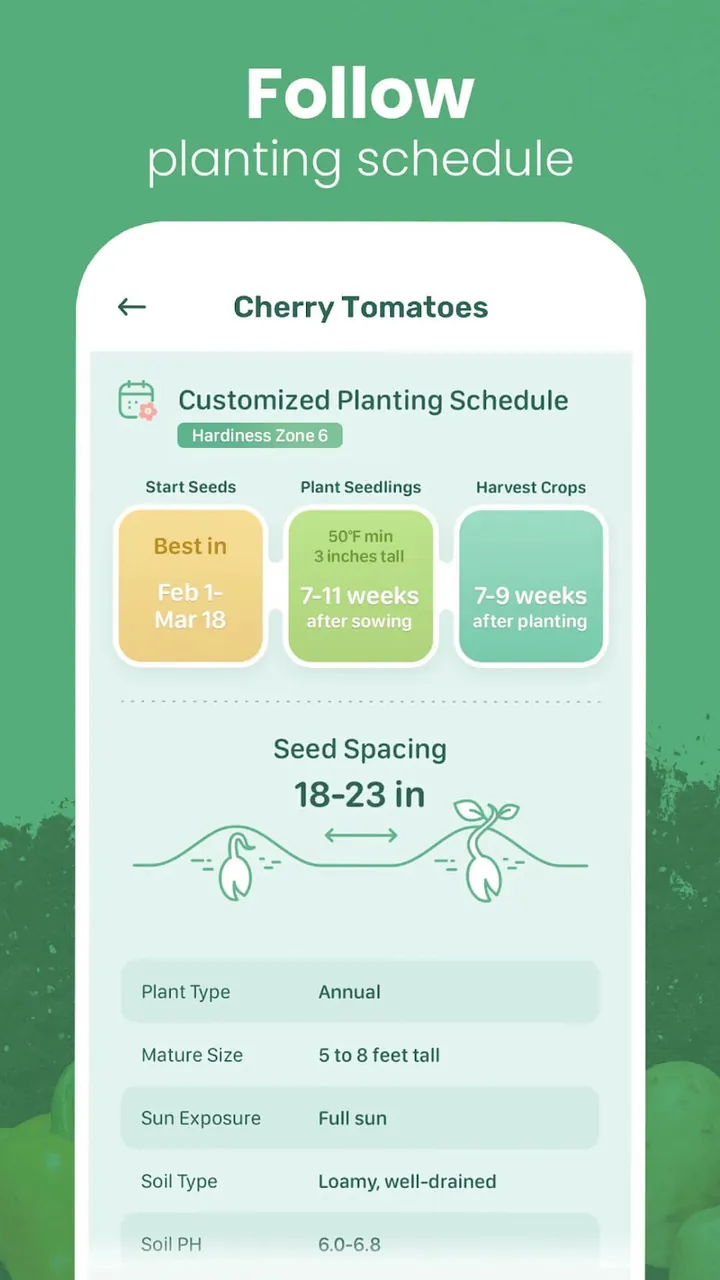 Blossom screenshot 3