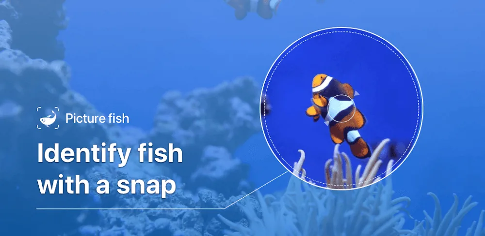 Picture Fish - Fish Identifier screenshot 1