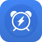 Full Battery & Theft Alarm