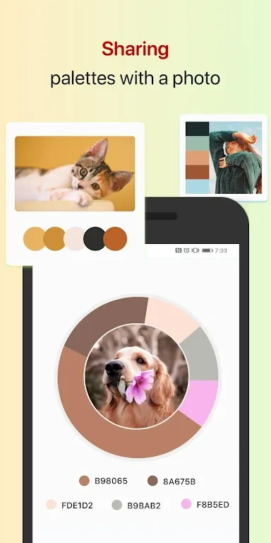 Color Collect screenshot 5
