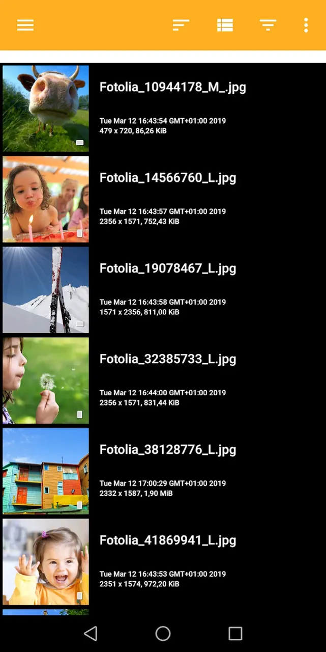 XnConvert - Photo Resize screenshot 2
