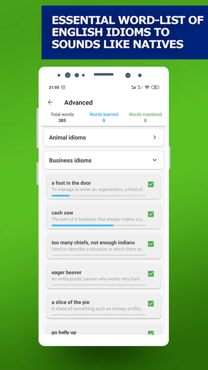 English Idioms & Slang Phrases screenshot 4