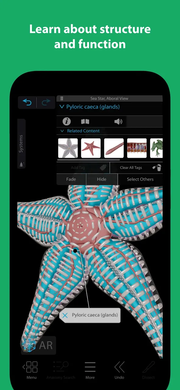 Visible Biology screenshot 4