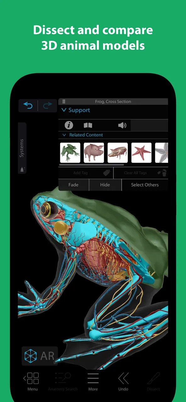 Visible Biology screenshot 2