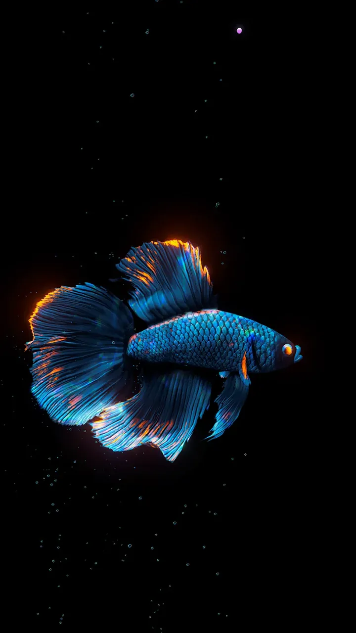 BETTA 120HZ screenshot 6