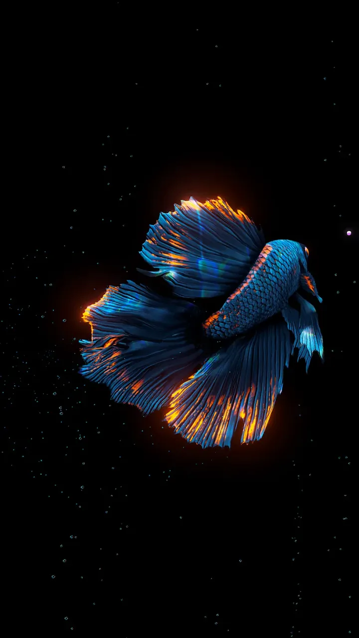 BETTA 120HZ screenshot 3