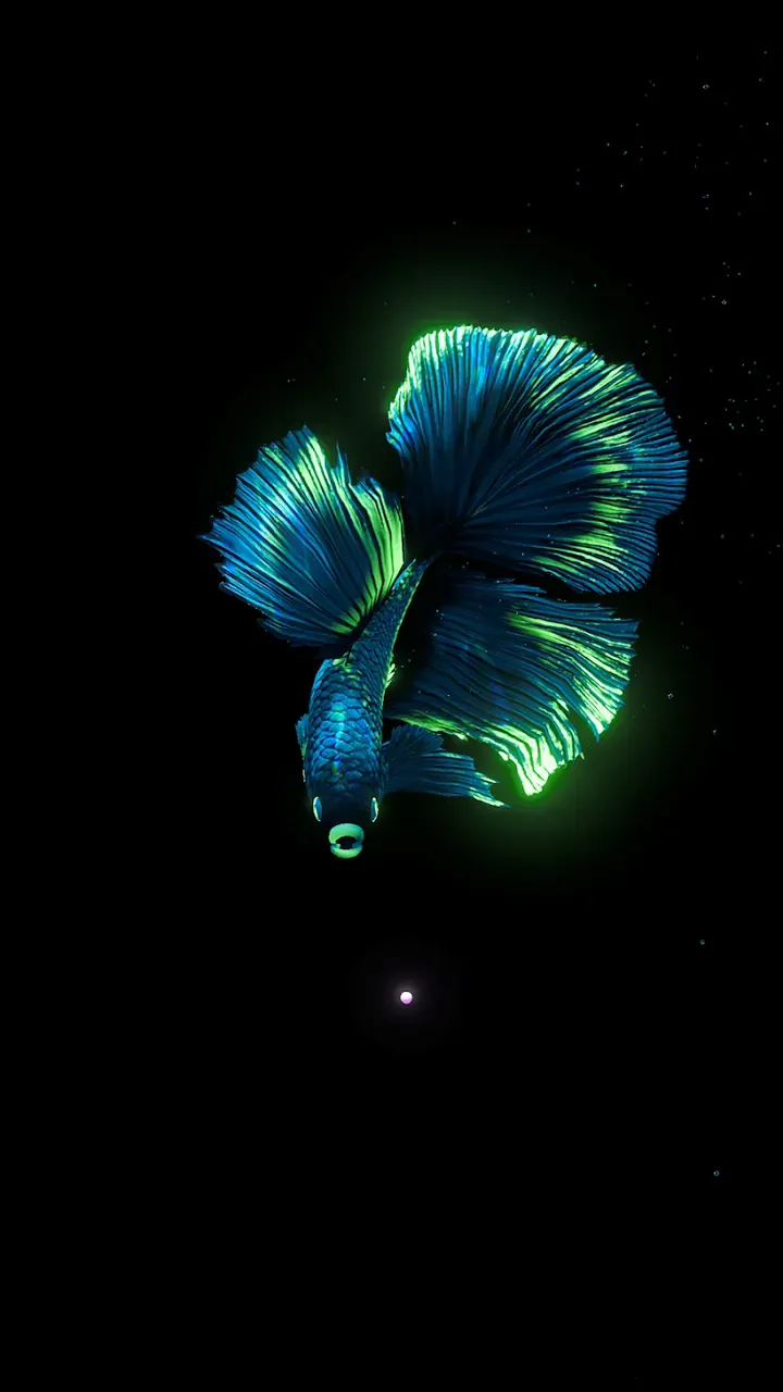 BETTA 120HZ screenshot 4
