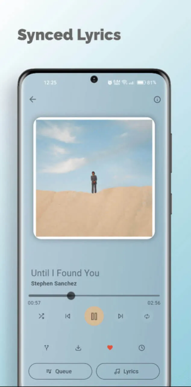 Spotube screenshot 6