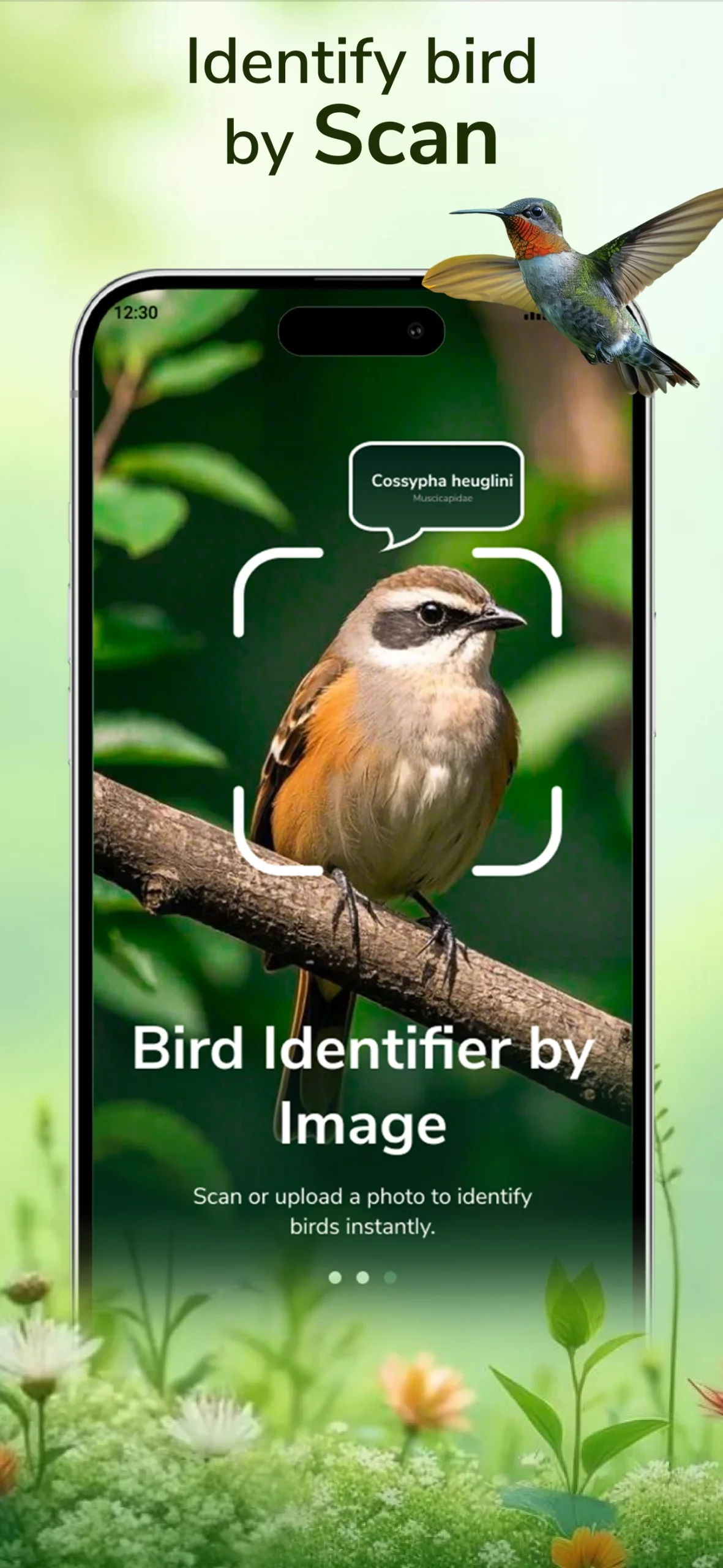 Bird Sounds & Bird Identifier screenshot 5