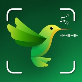 Bird Sounds & Bird Identifier