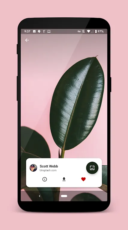 Walpy screenshot 4