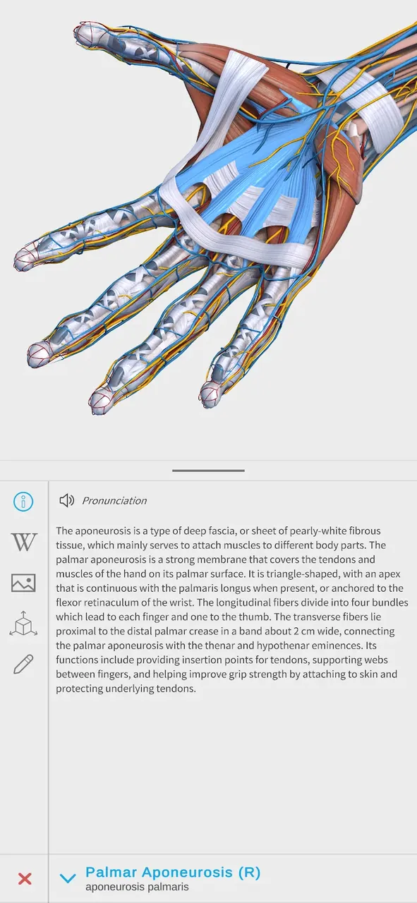 Visual Anatomy 3D screenshot 3