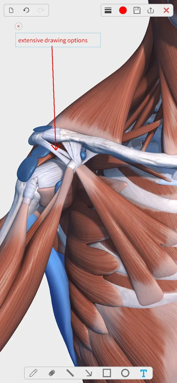 Visual Anatomy 3D screenshot 6