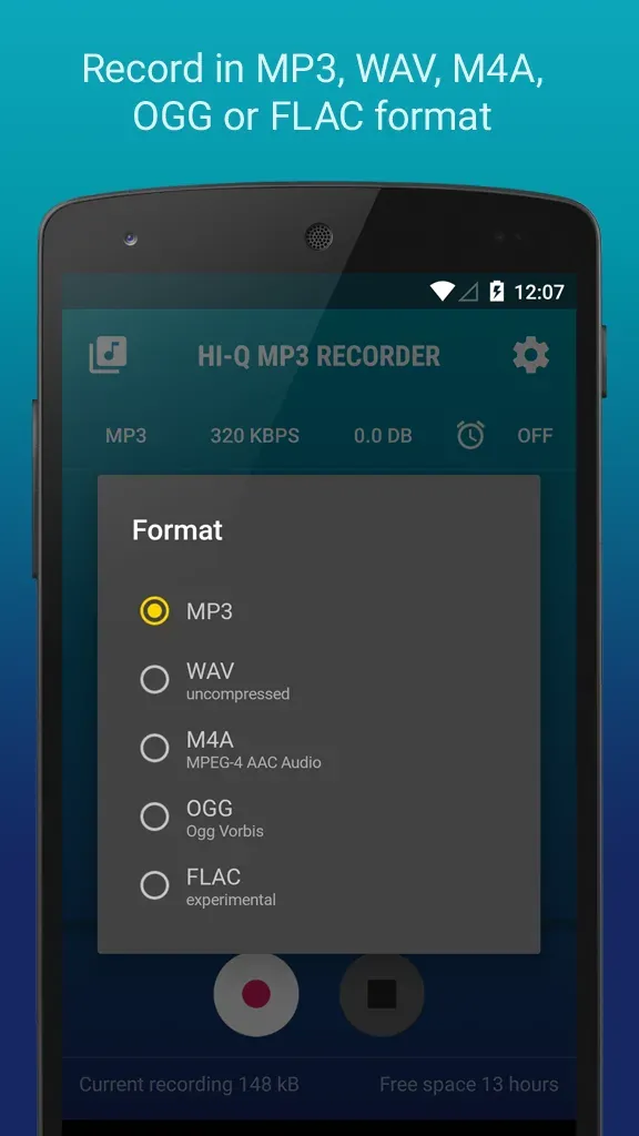 Hi-Q MP3 Voice Recorder (Pro) screenshot 6