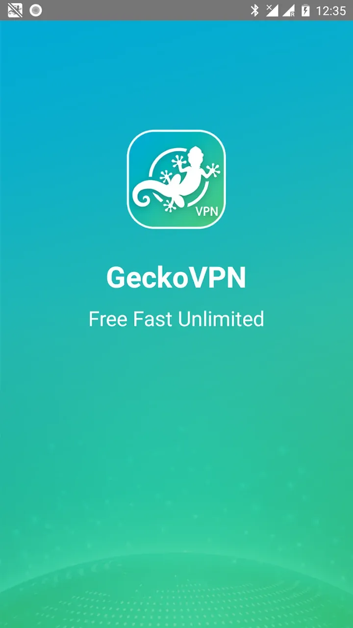 GeckoVPN screenshot 2