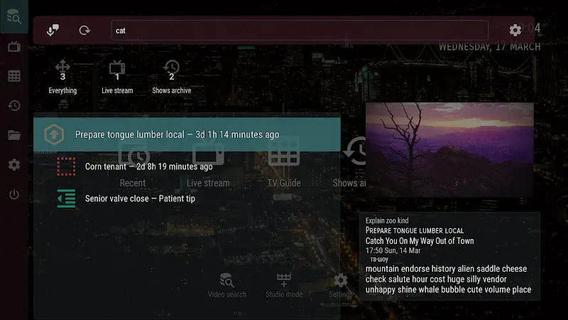 OTT Player screenshot 4