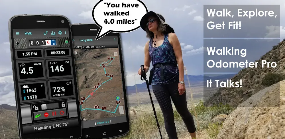 Walking Odometer Pro screenshot 1
