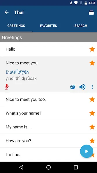 Learn Thai Phrases screenshot 5: Demonstrates the clear and concise presentation of essential Thai vocabulary and phrases within the app.
