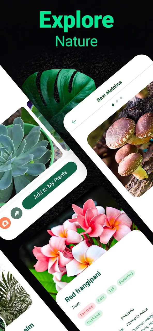 Plantum screenshot 5