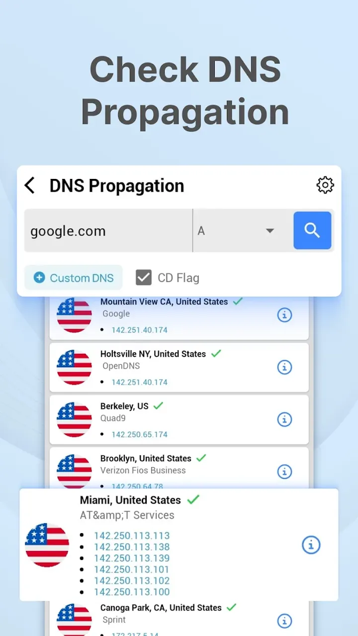 DNS Checker - Network Tools screenshot 3
