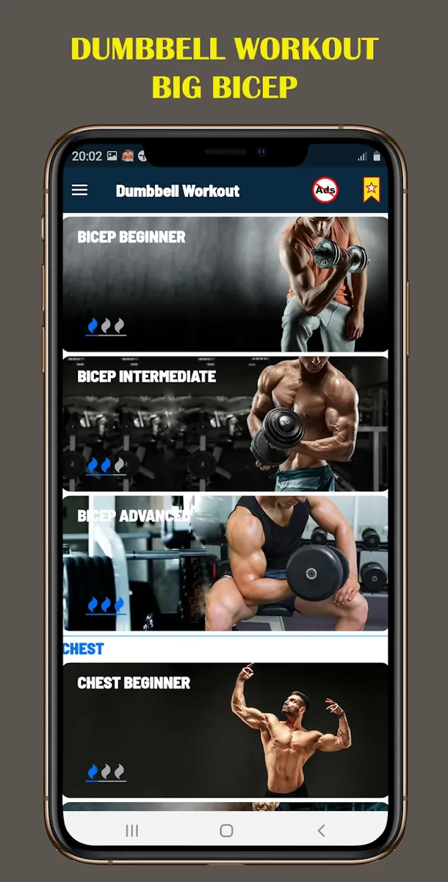 Dumbbell Home - Gym Workout screenshot 6
