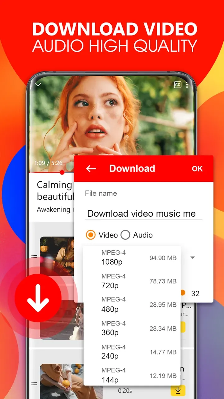 Tube Video Downloader screenshot 5