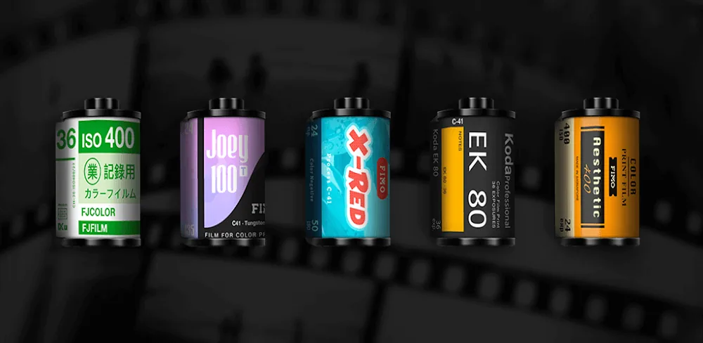 FIMO - Analog Camera screenshot 1