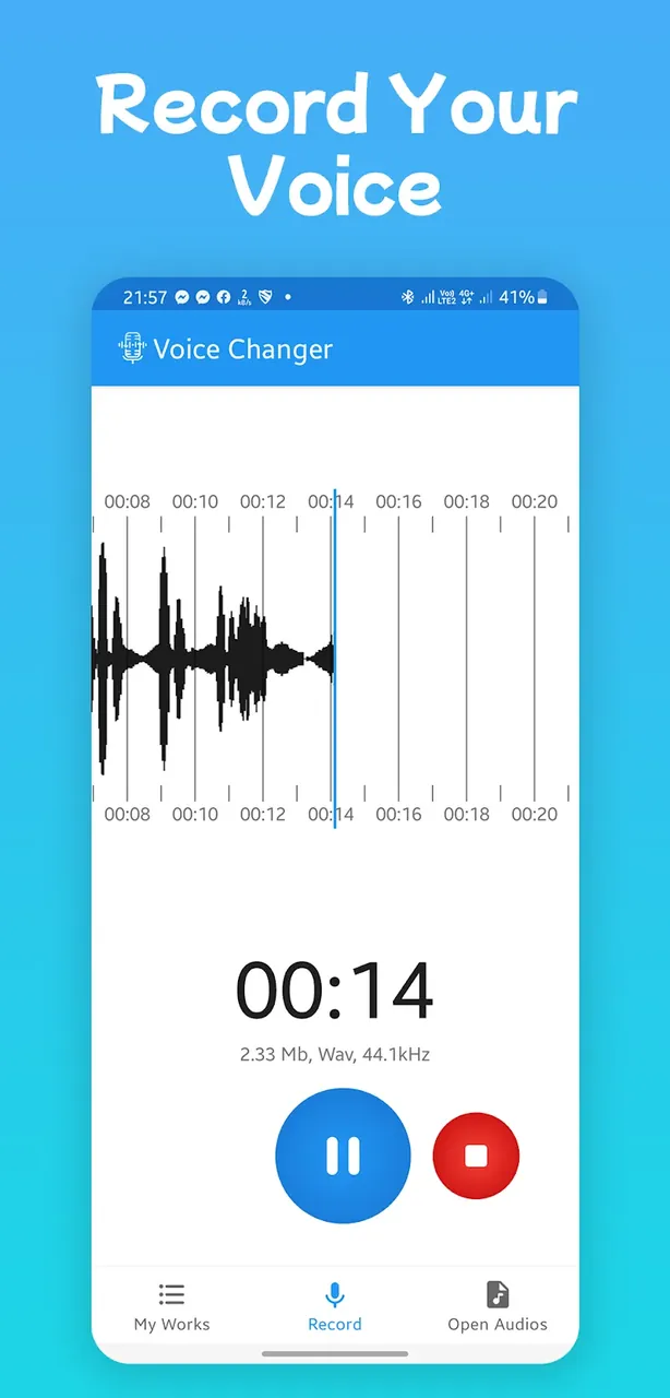 Video Voice Changer Pro screenshot 4