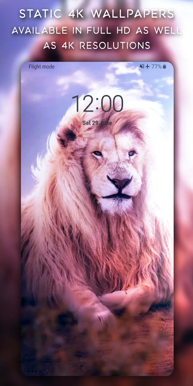Live Wallpapers screenshot 5