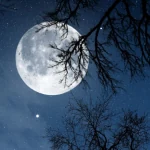 Relax Night ~ Nature Sounds PRO