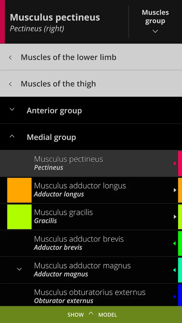 Anatomyka - 3D Anatomy Atlas screenshot 6