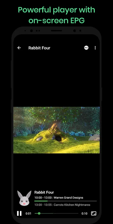 Dimplay screenshot 4