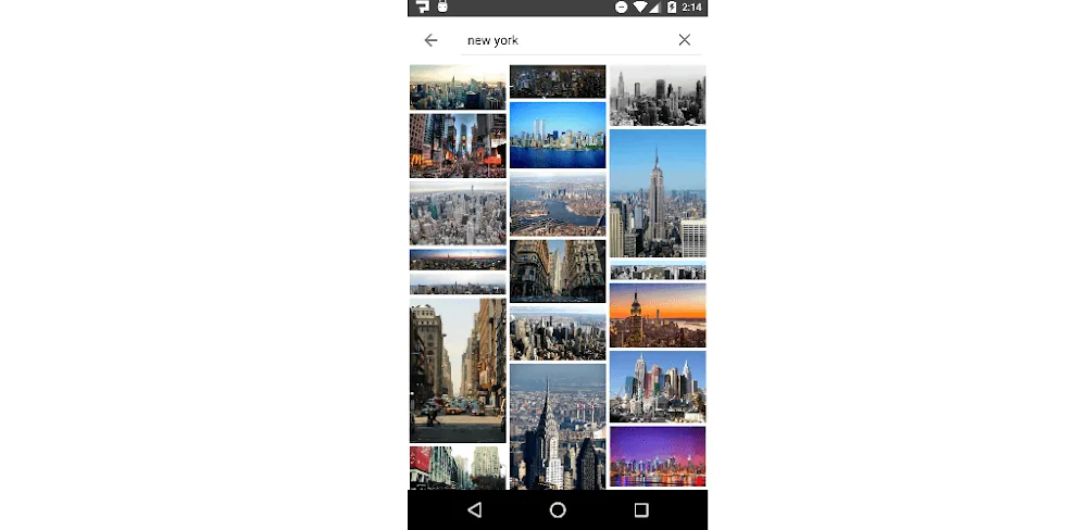ImageSearchMan screenshot 1