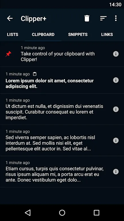 Clipper+ screenshot 6