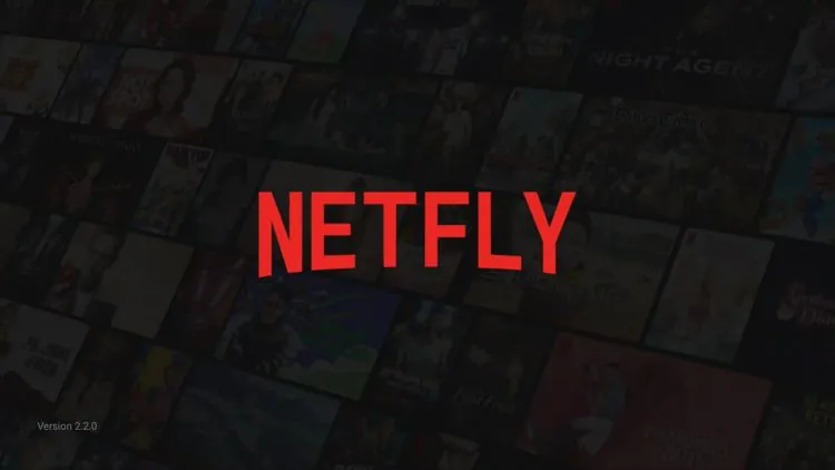 NETFLY screenshot 2