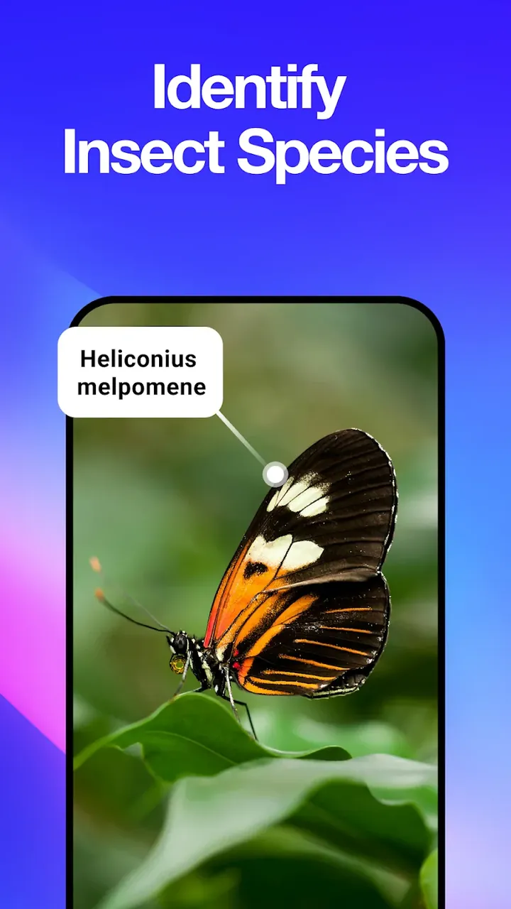 All Scanner: Scan & Identify screenshot 5