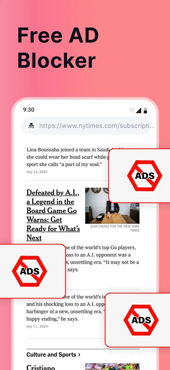 Private browser screenshot 6