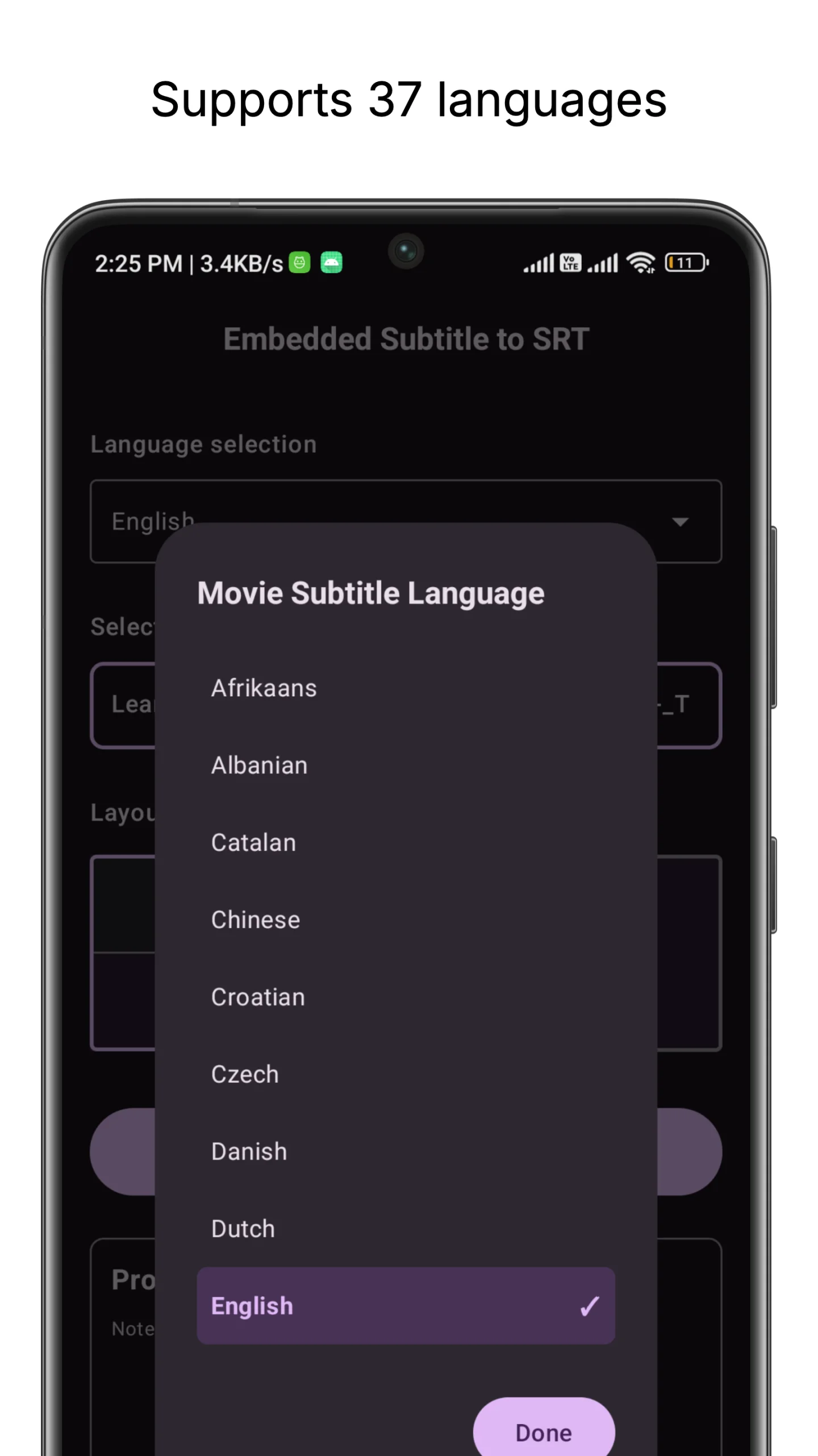 Burned-in Subtitle Extractor screenshot 2