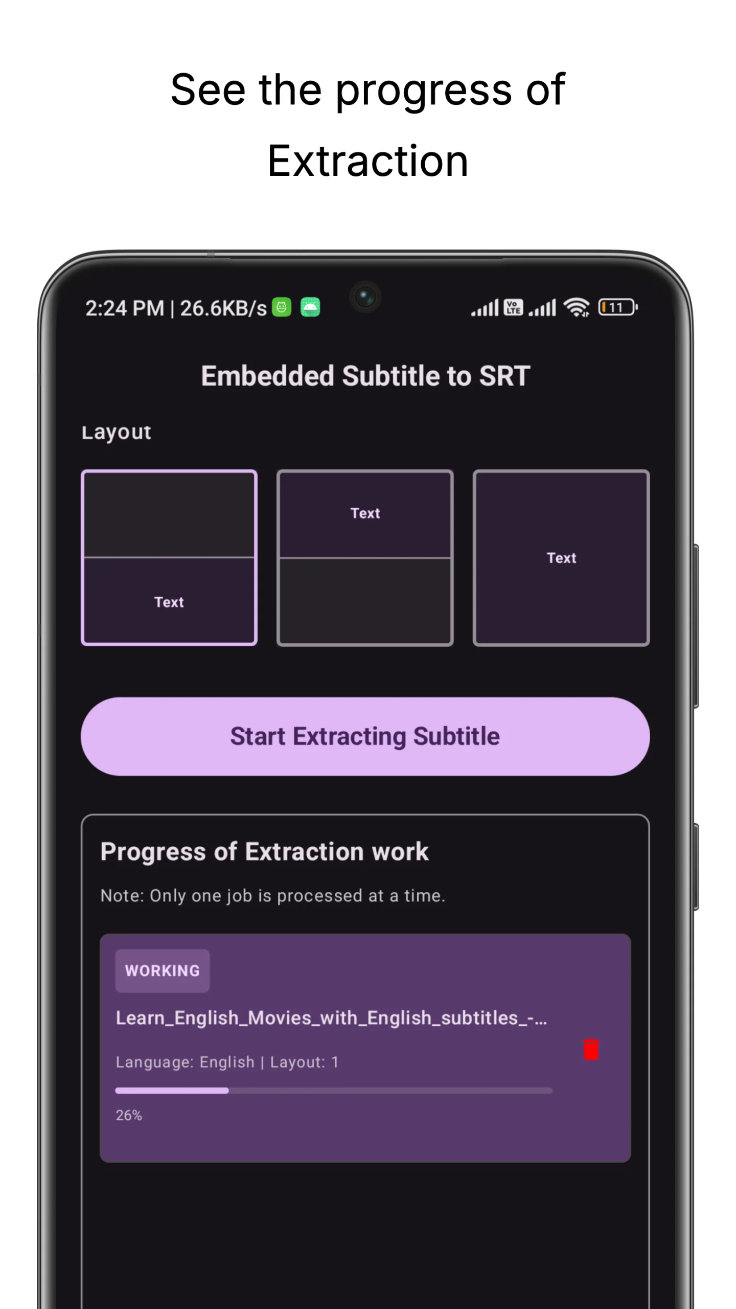 Burned-in Subtitle Extractor screenshot 3