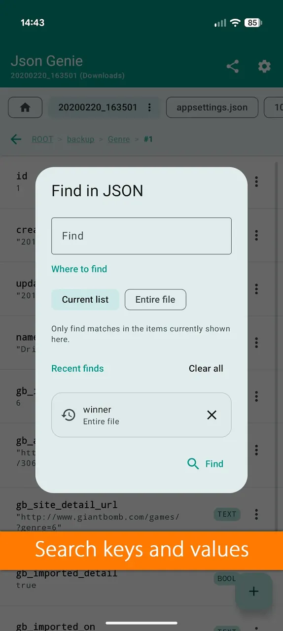 Json Genie screenshot 4
