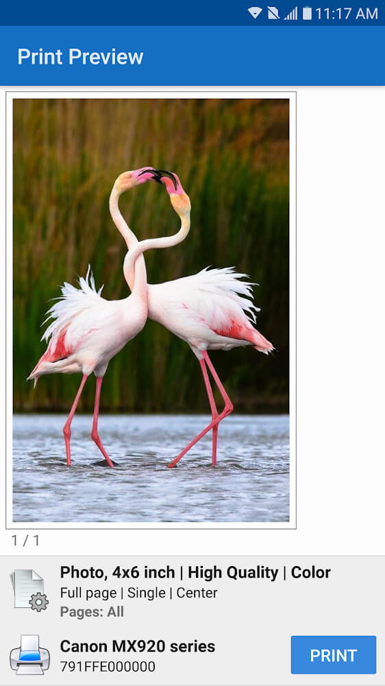 NokoPrint - Mobile Printing screenshot 3