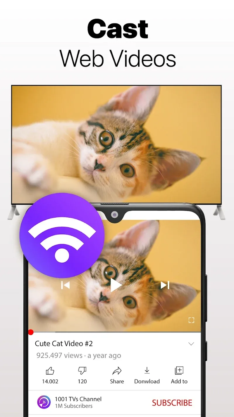 Screen Mirroring - 1001 TVs screenshot 6