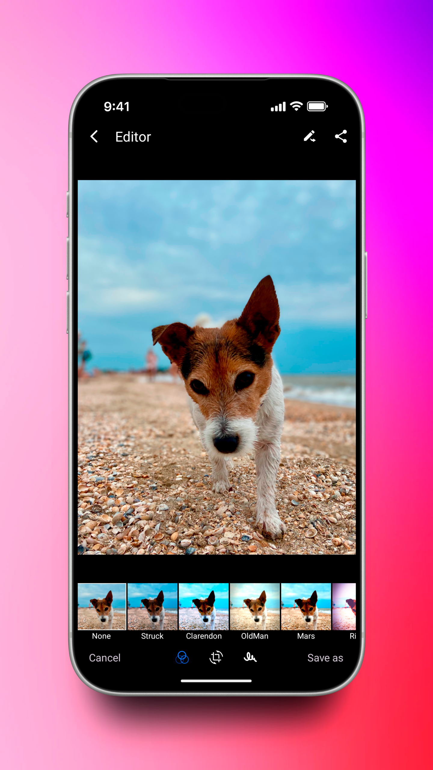Alright Gallery screenshot 5